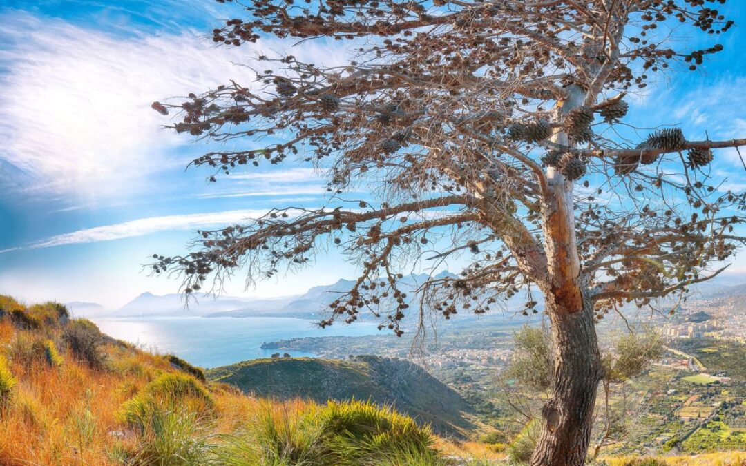 Pizzo Calabro, il gusto dolce e avvolgente della Calabria
