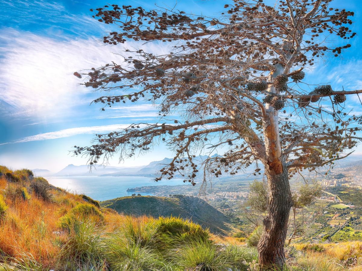 Pizzo Calabro, il gusto dolce della Calabria