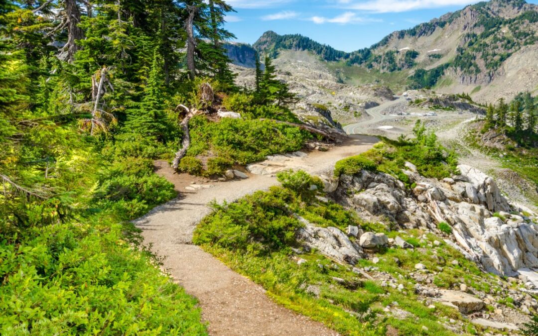 Percorsi naturali della Calabria: un viaggio tra montagna e mare