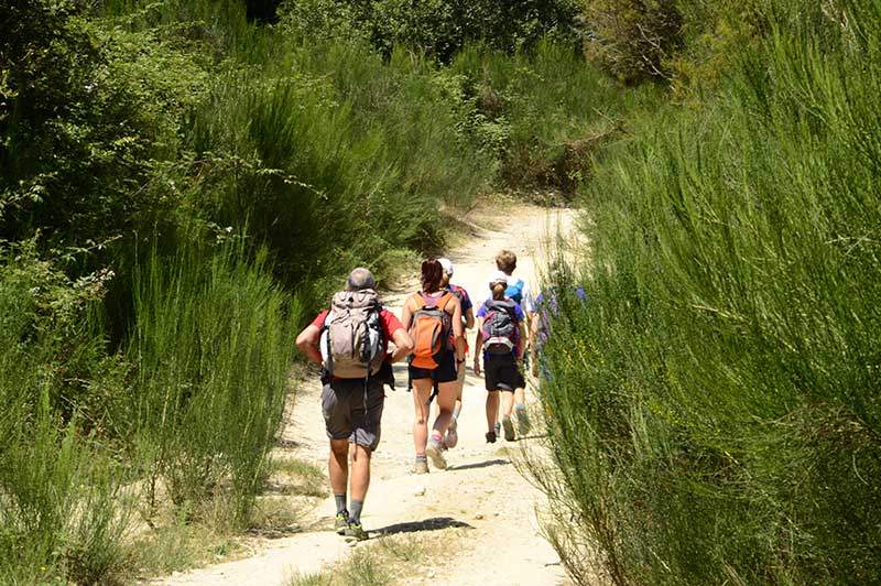 Alla scoperta del Sentiero del Brigante: trekking tra le meraviglie della Calabria