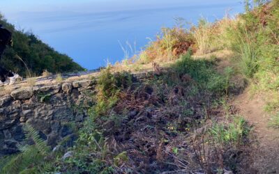 Sentiero del Tracciolino: viaggio tra terra e mare nella Calabria delle meraviglie